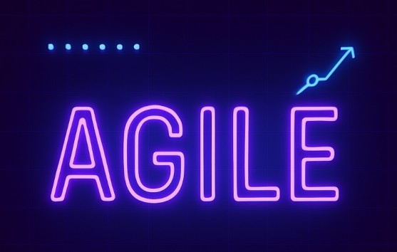 Agile - Top 10 Project Manager Interview Questions and Guide to 100 Key Terms
