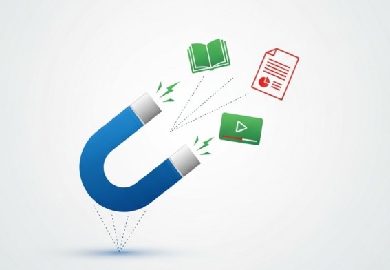 8 Lead Magnet Strategies for Business Growth